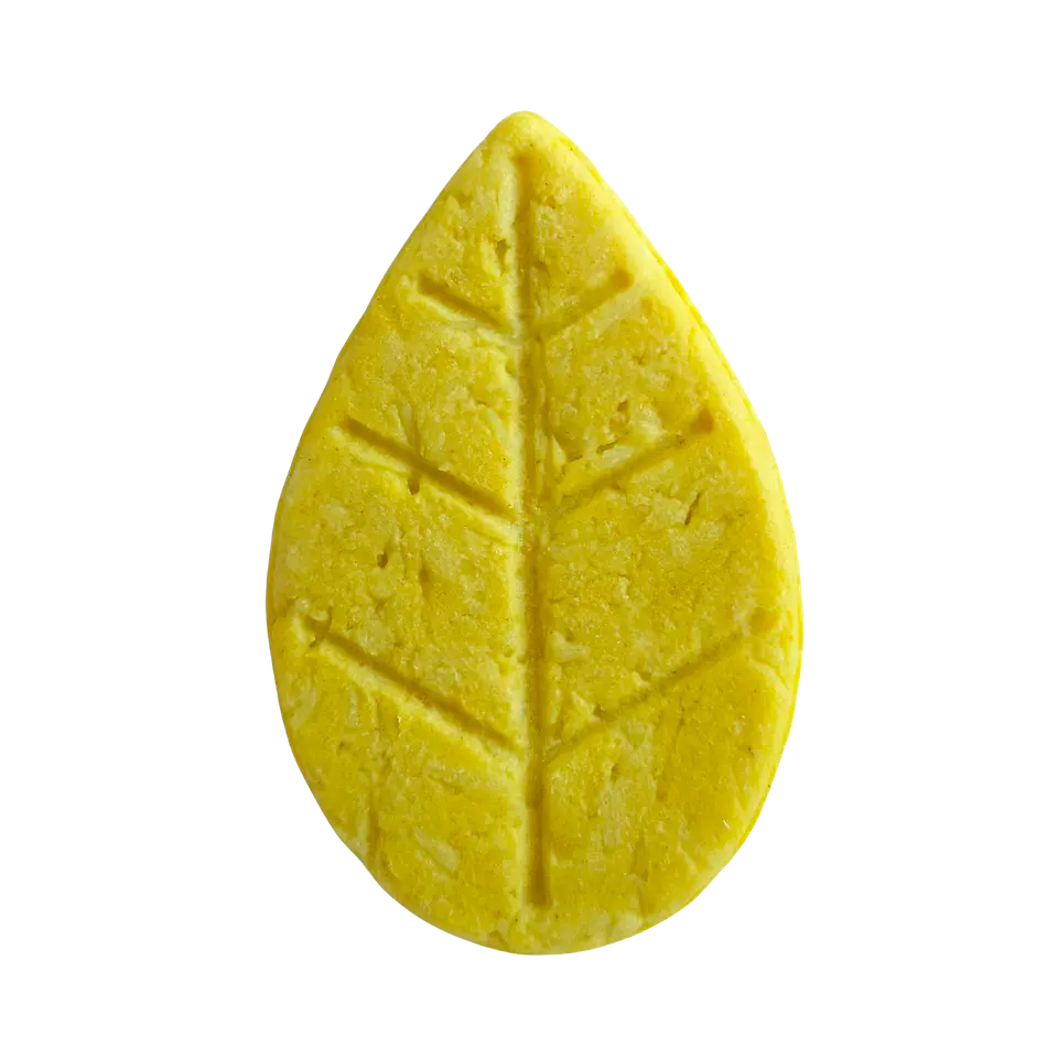 Champú sólido cúrcuma limón Capinatural para caspa y cuero cabelludo sensible 1