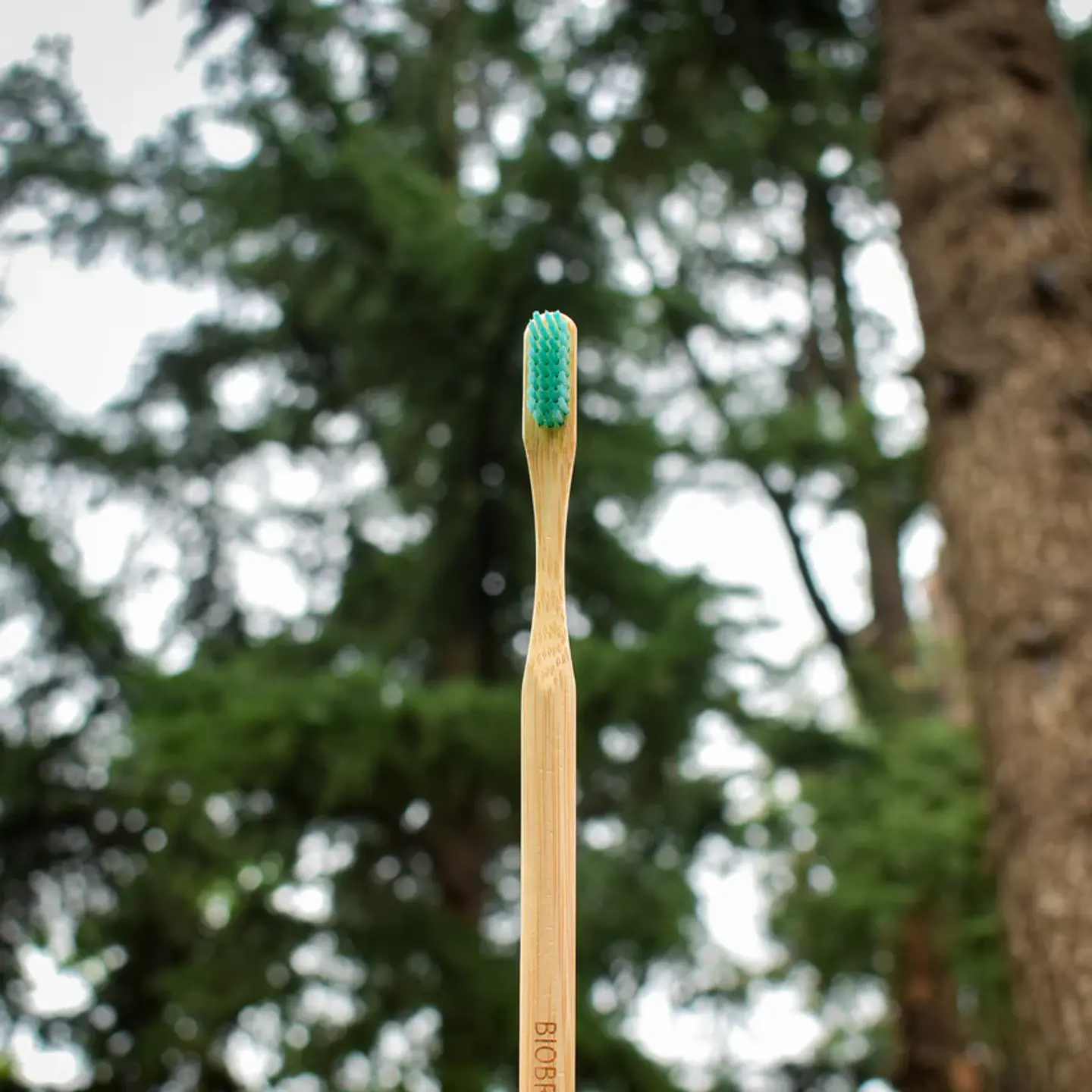 Cepillo Ortodoncia Menta Biobrush 3