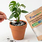 Retenedor Inteligente de Agua de Origen Vegetal para Viveros y Producción de Plantas 250 gr - Miniatura 3