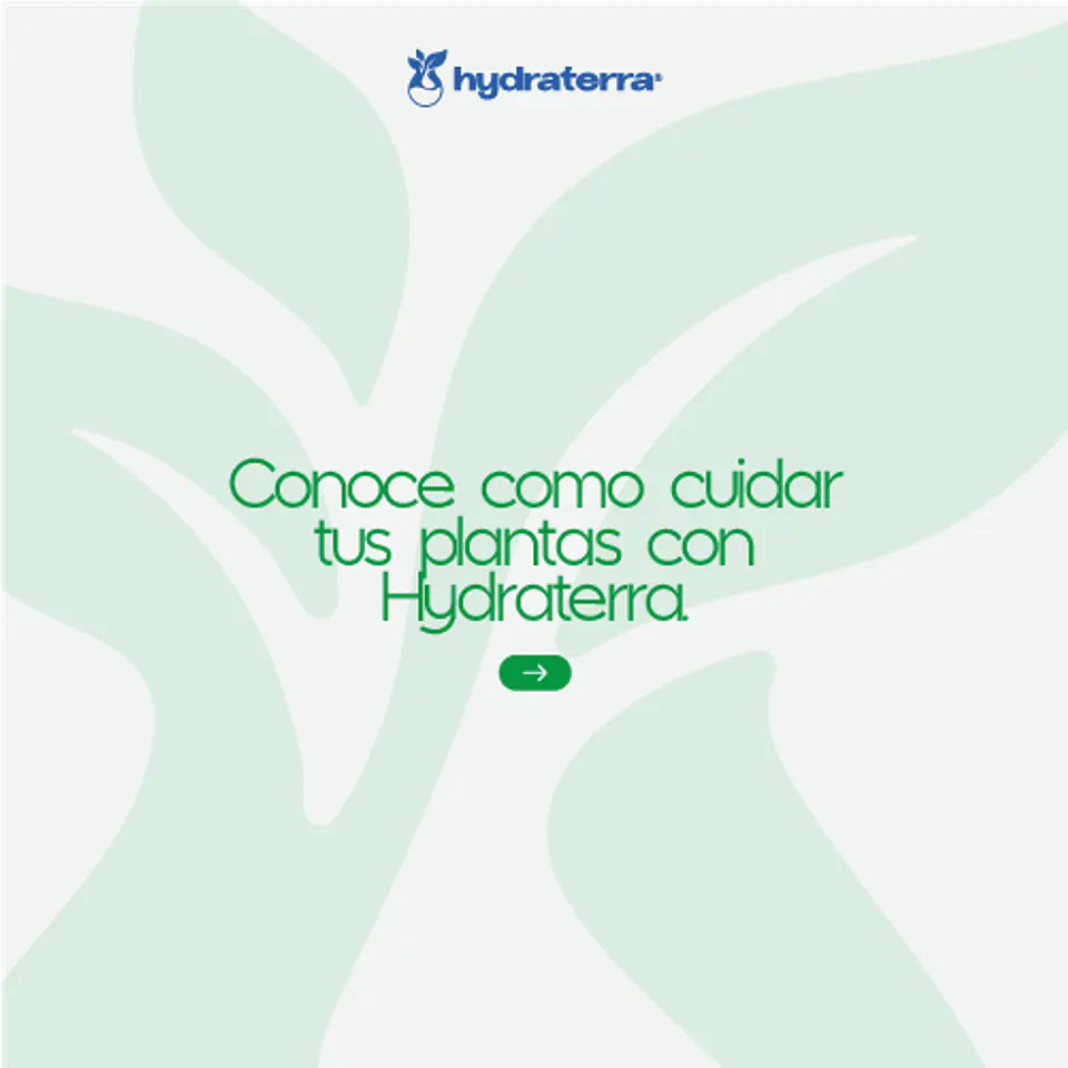 Retenedor Inteligente de Agua de Origen Vegetal para Plantas, Macetas y Jardines 250 gr  4