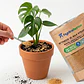 Retenedor Inteligente de Agua de Origen Vegetal para Plantas, Macetas y Jardines 250 gr  - Miniatura 1