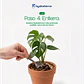 Retenedor Inteligente de Agua de Origen Vegetal para Plantas, Macetas y Jardines 250 gr  - Miniatura 11