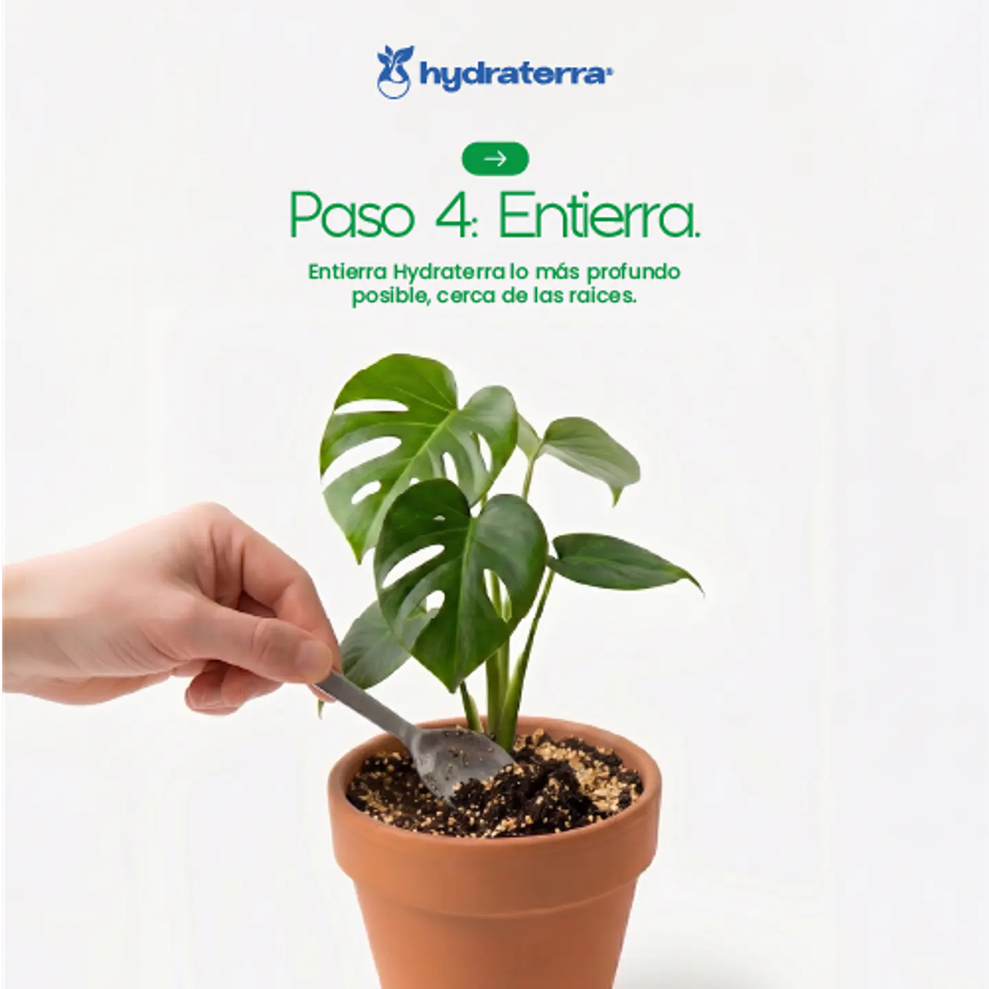 Retenedor Inteligente de Agua de Origen Vegetal para Viveros y Producción de Plantas 250 gr 10