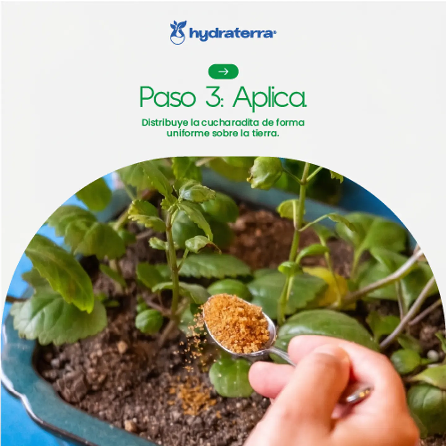 Retenedor Inteligente de Agua de Origen Vegetal para Viveros y Producción de Plantas 250 gr 9