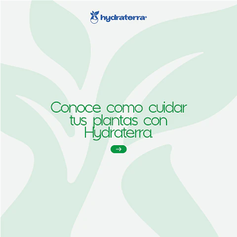 Retenedor Inteligente de Agua de Origen Vegetal para Agricultores 250 gr