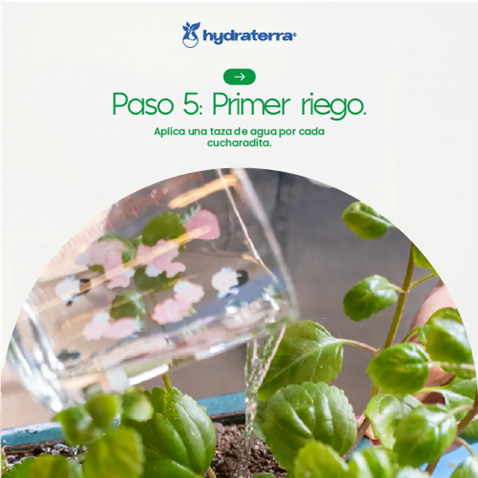 Retenedor Inteligente de Agua de Origen Vegetal para Agricultores 250 gr 12