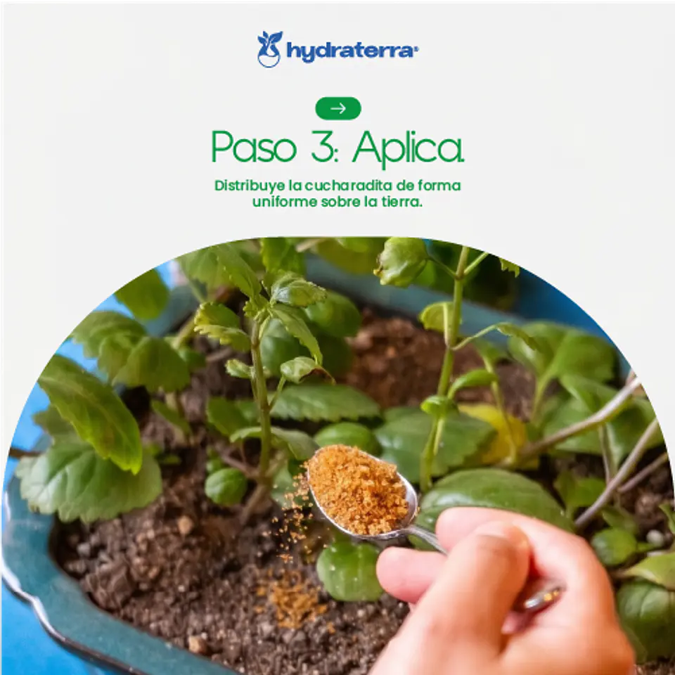 Retenedor Inteligente de Agua de Origen Vegetal para Agricultores 250 gr 10