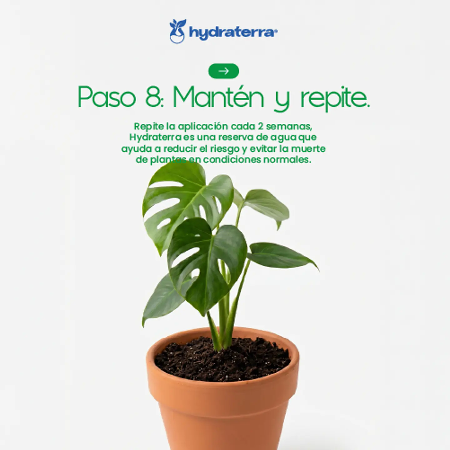 Retenedor Inteligente de Agua de Origen Vegetal para Forestación y Reforestación 250 gr 15