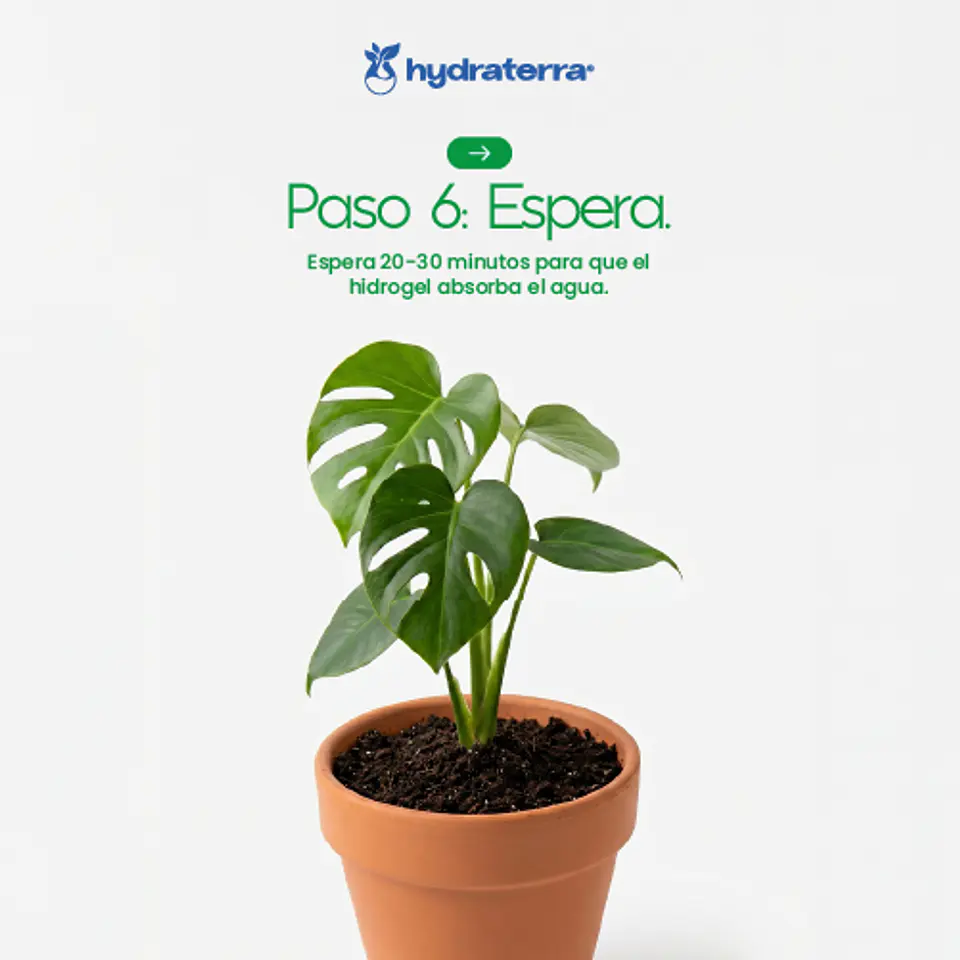 Retenedor Inteligente de Agua de Origen Vegetal para Forestación y Reforestación 250 gr 13