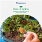 Retenedor Inteligente de Agua de Origen Vegetal para Forestación y Reforestación 250 gr - Miniatura 10