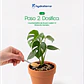 Retenedor Inteligente de Agua de Origen Vegetal para Forestación y Reforestación 250 gr - Miniatura 9
