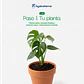Retenedor Inteligente de Agua de Origen Vegetal para Forestación y Reforestación 250 gr - Miniatura 8