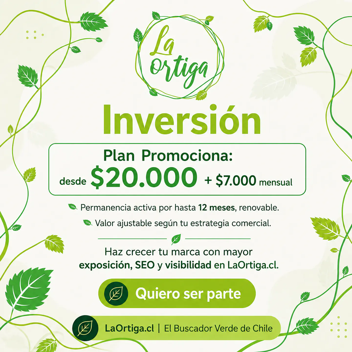 Plan Promociona 6