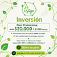Plan Promociona - Miniatura 6