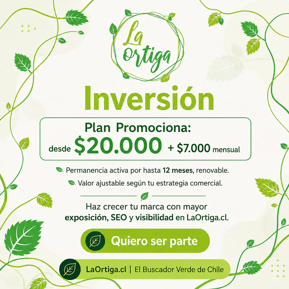 Plan Promociona 6