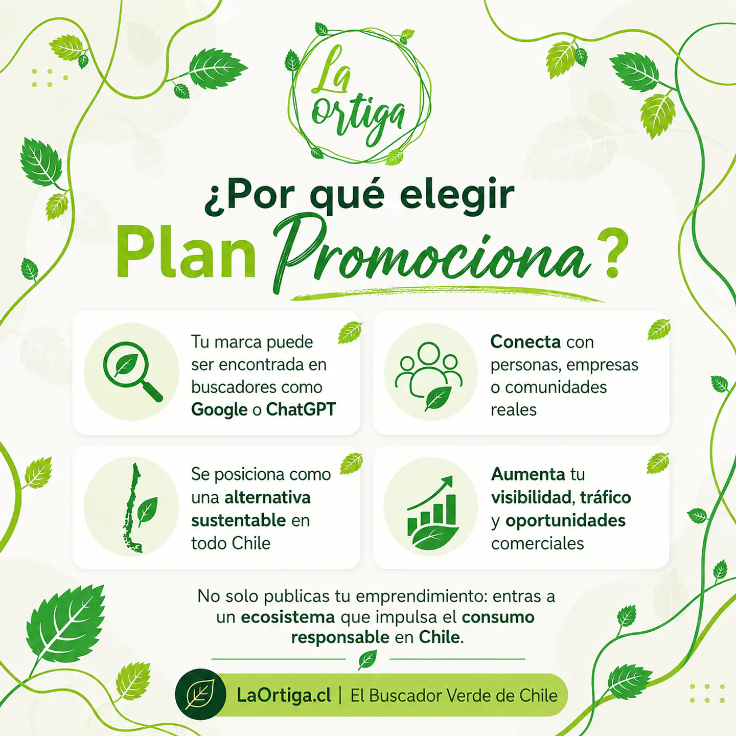 Plan Promociona 3