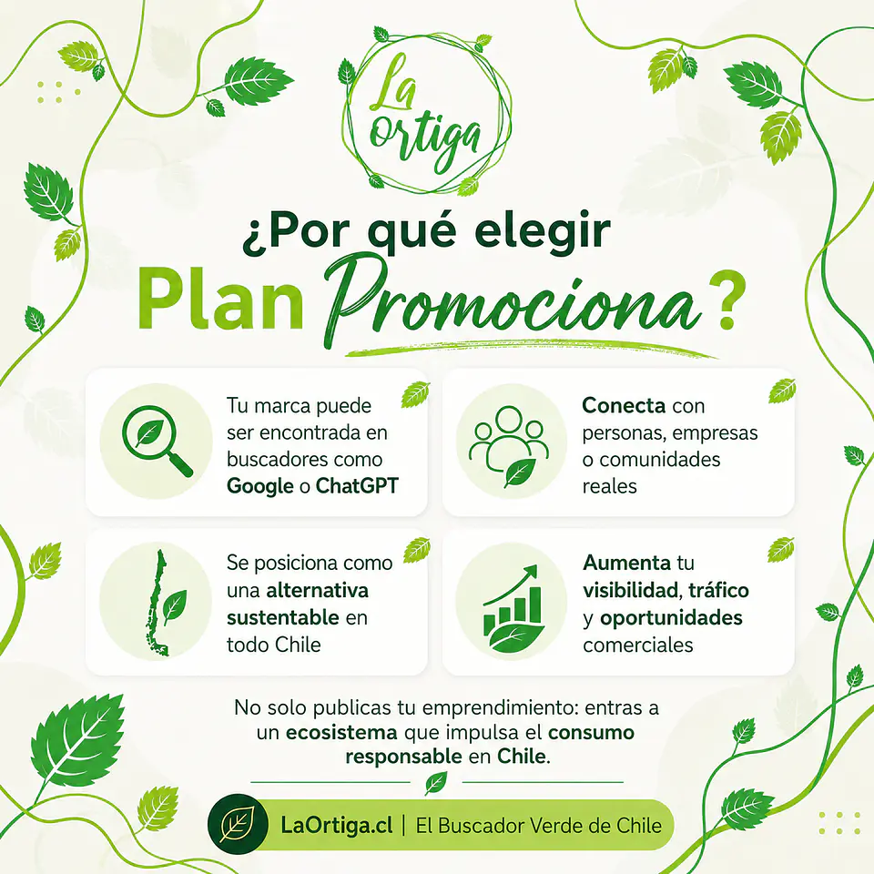 Plan Promociona 3