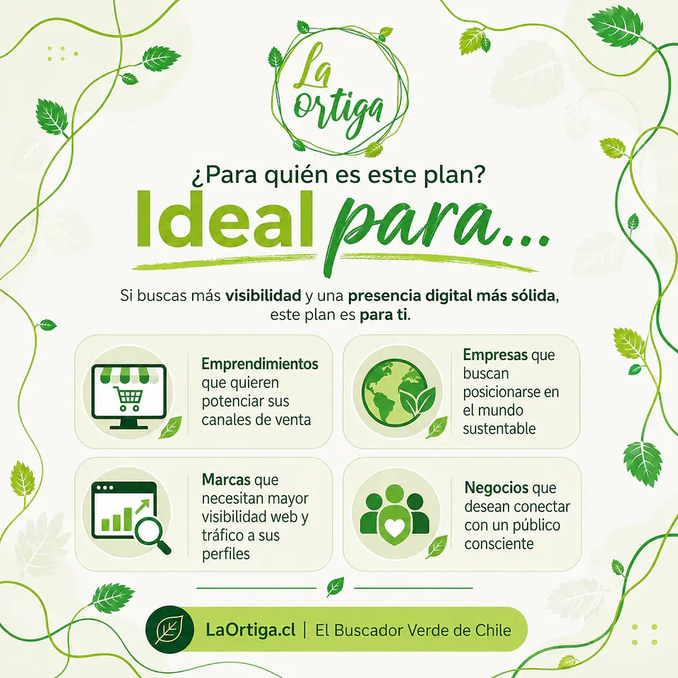 Plan Promociona 2