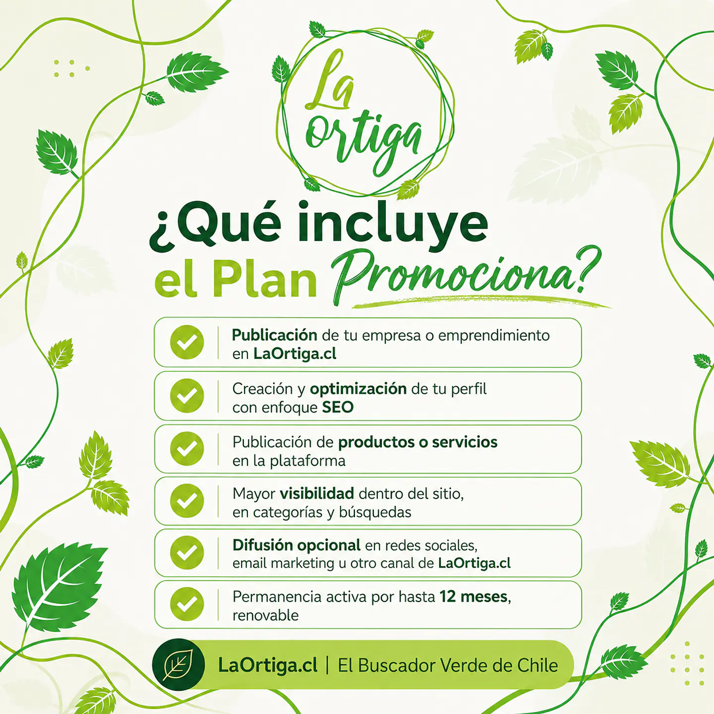 Plan Promociona 4