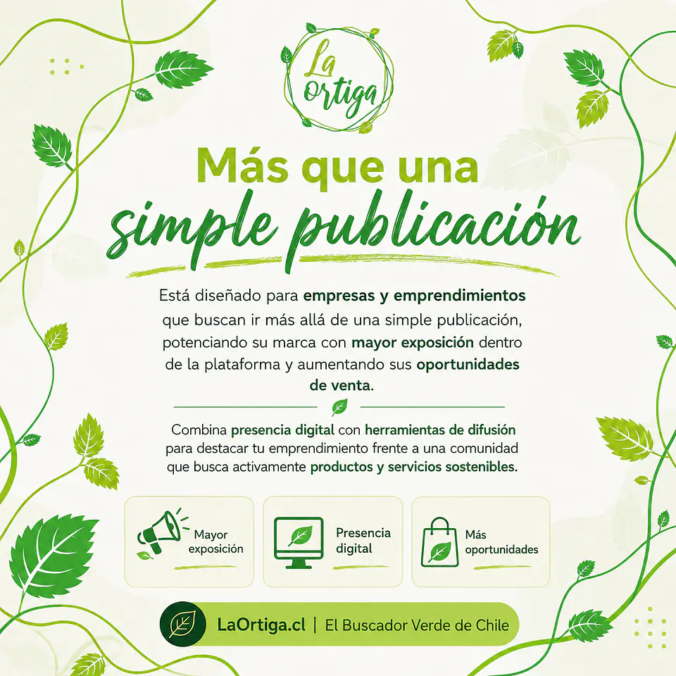 Plan Promociona 5