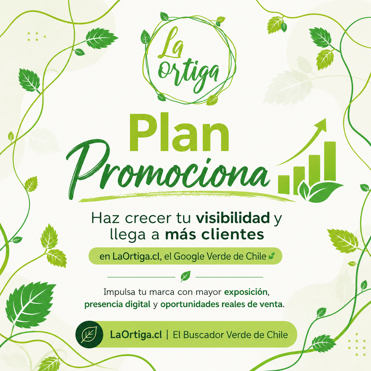 Plan Promociona