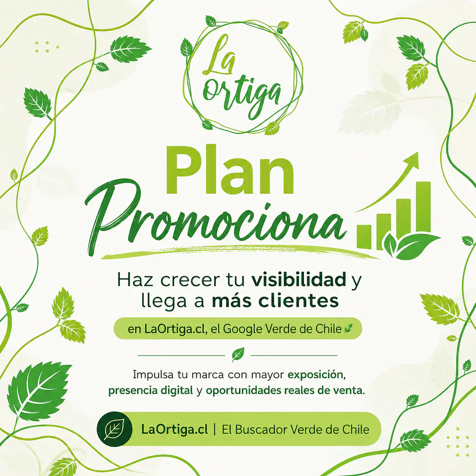 Plan Promociona 1