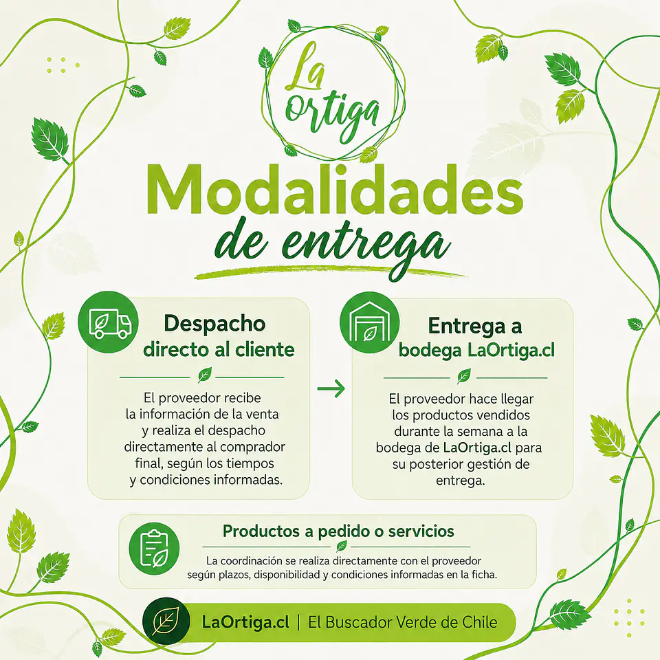 Plan Comercializa 4
