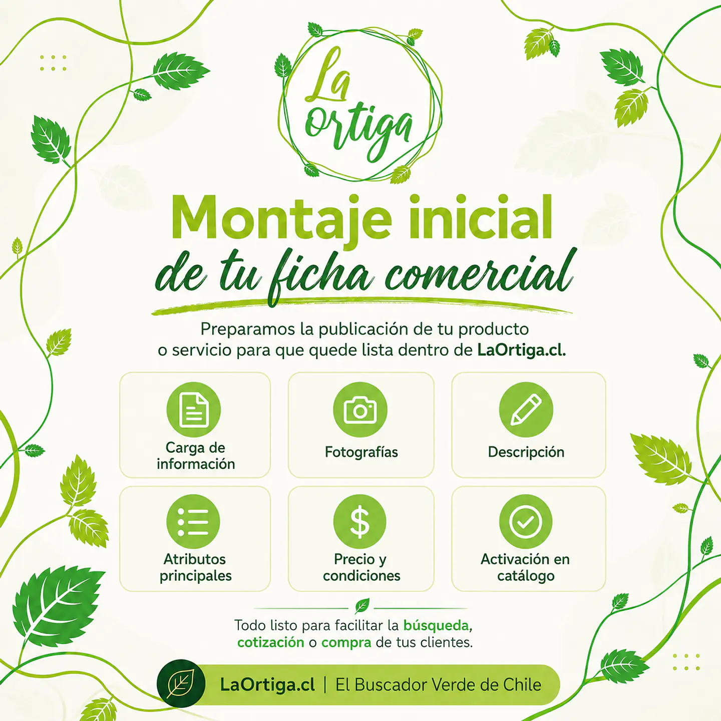Plan Comercializa 3