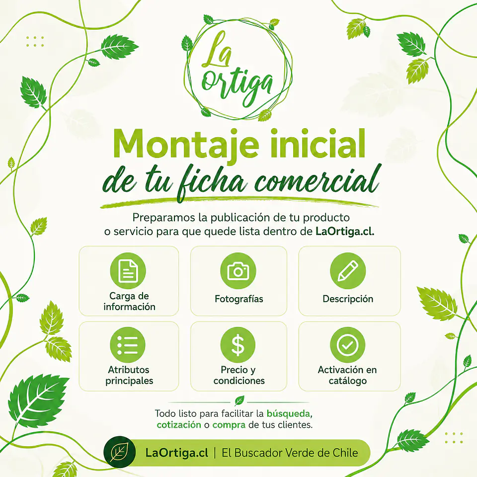 Plan Comercializa 3
