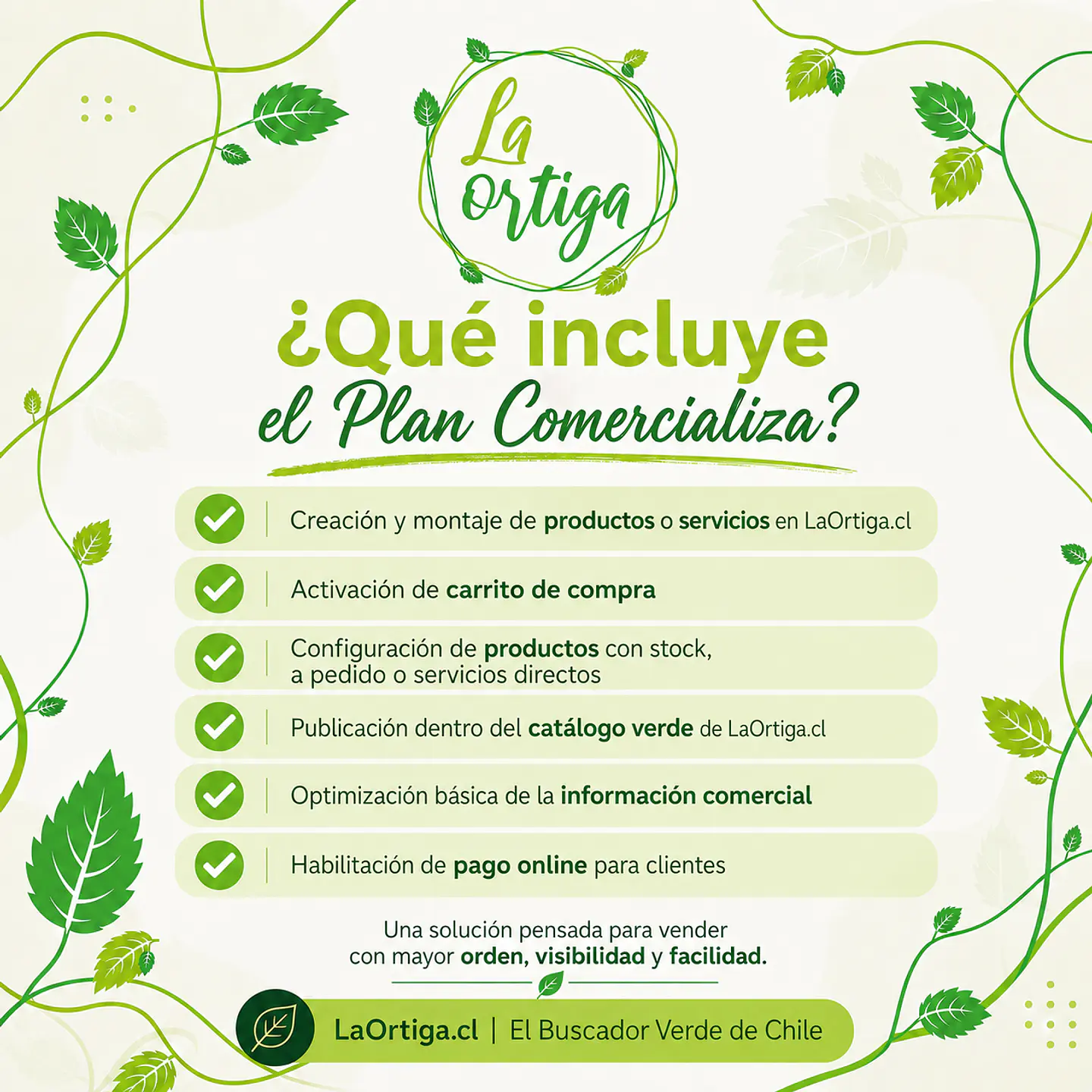 Plan Comercializa 5