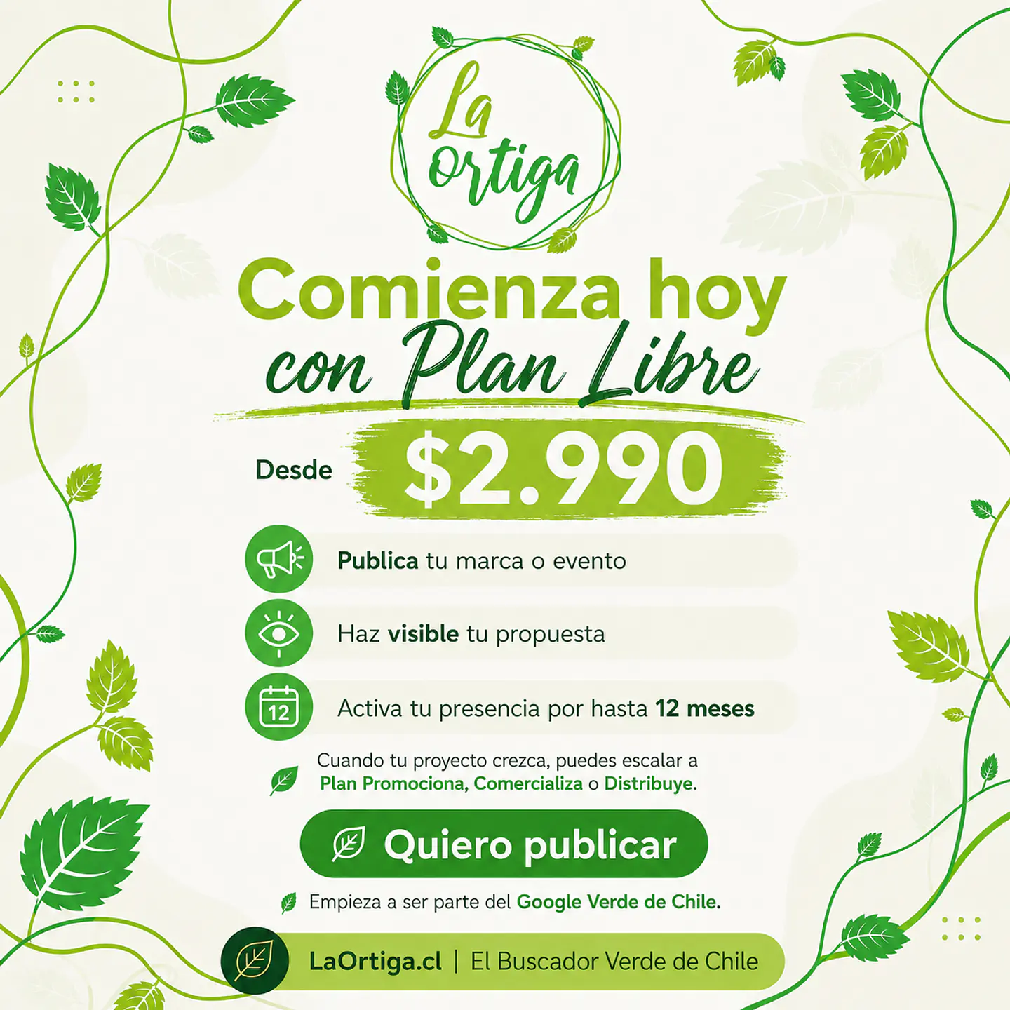 Publicación Libre 1
