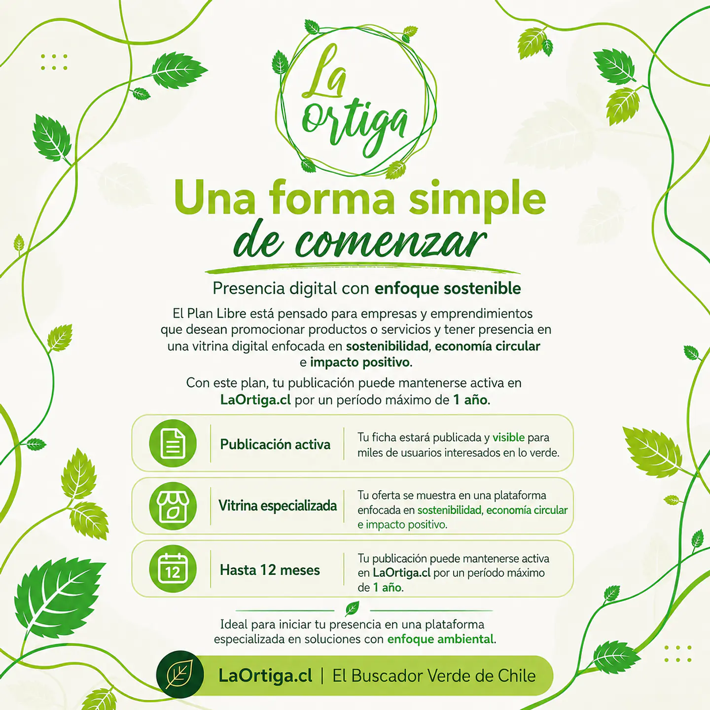 Publicación Libre 4