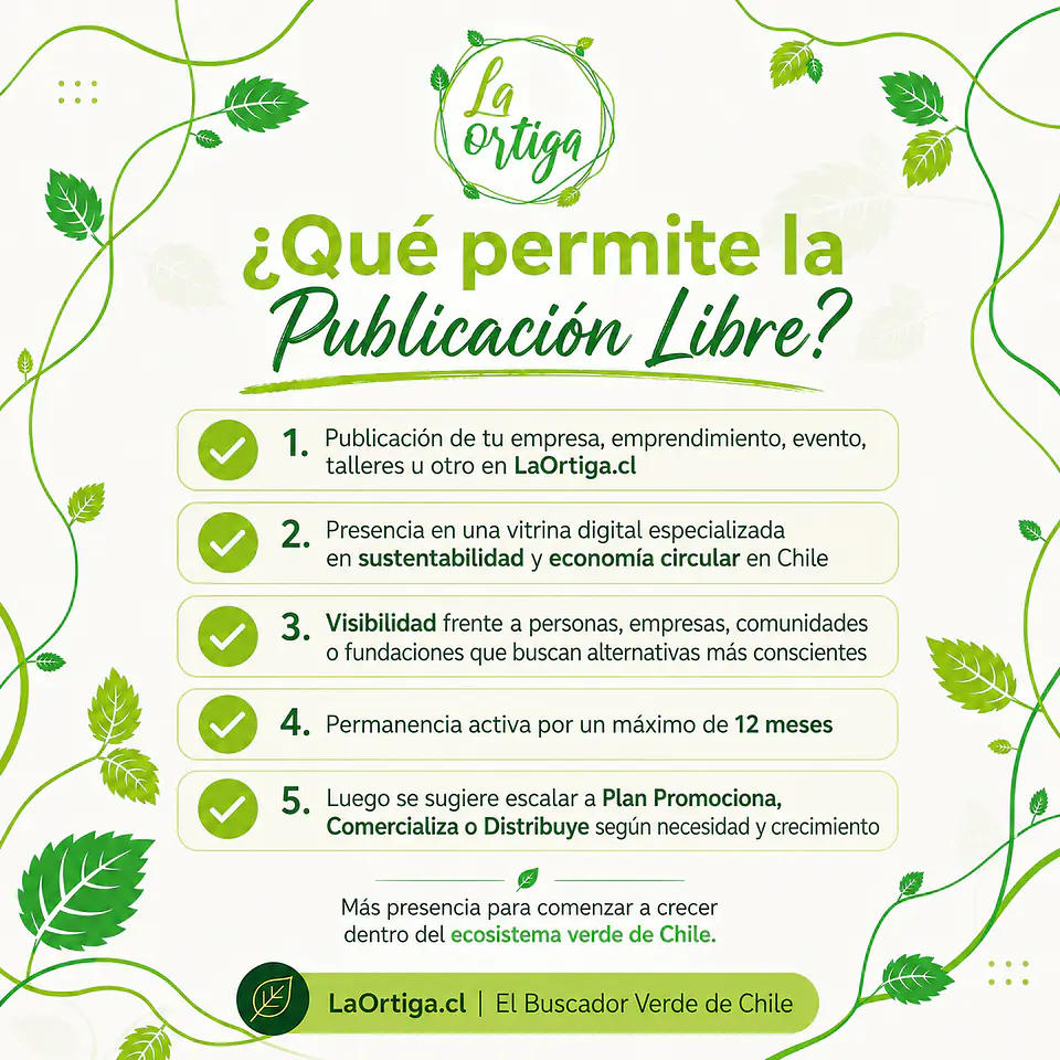 Publicación Libre 5