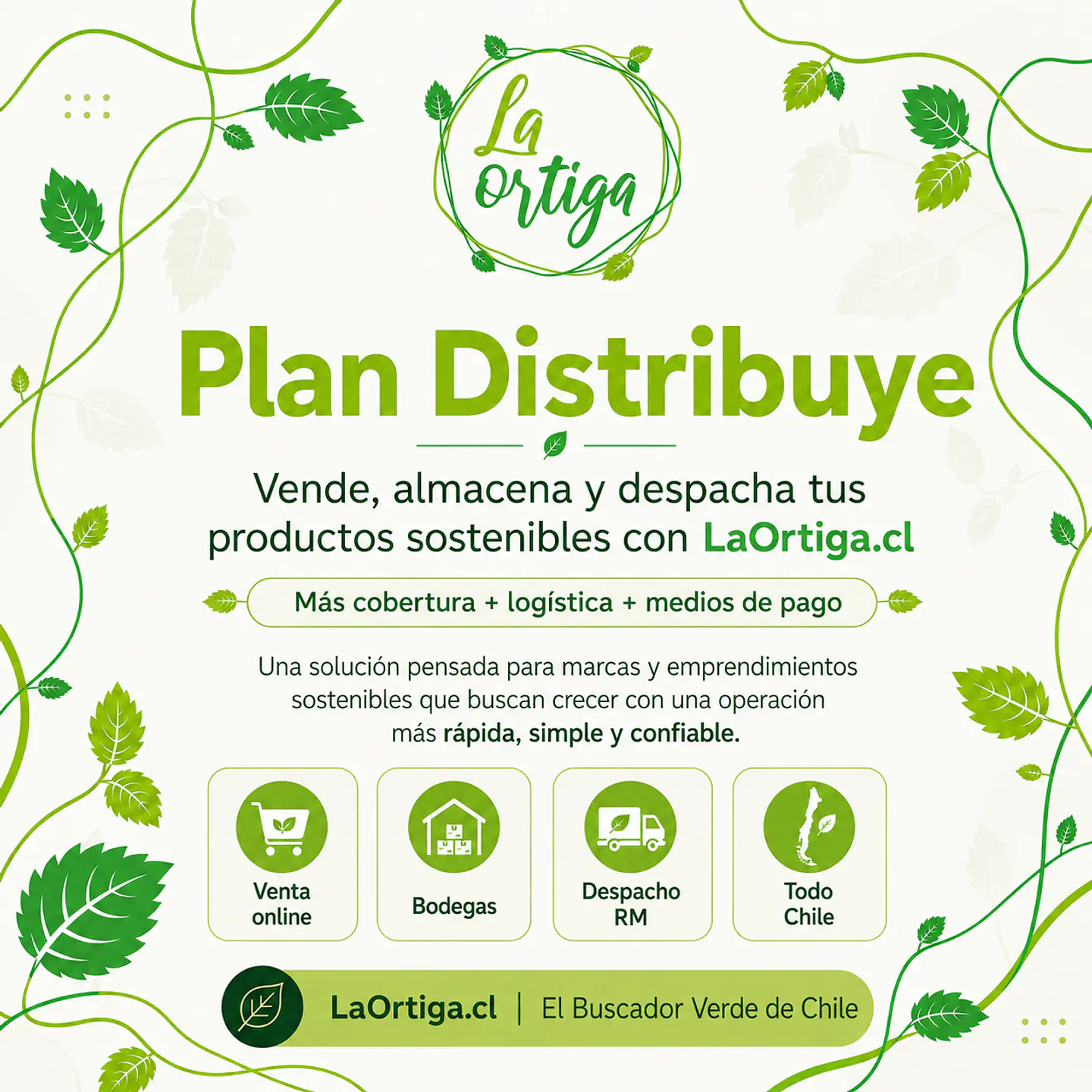 Plan Distribuye 1
