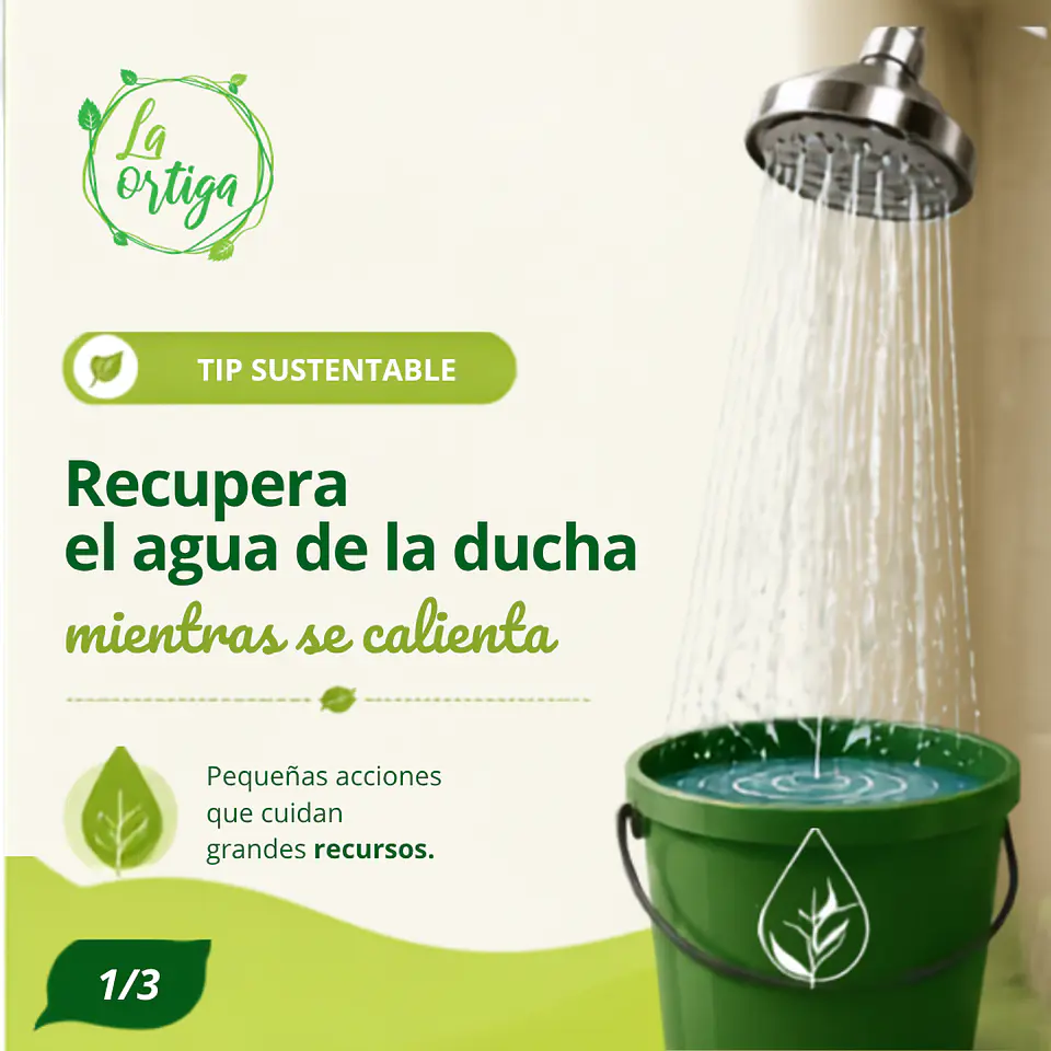 Tip sustentable: recupera el agua de la ducha mientras se calienta 1