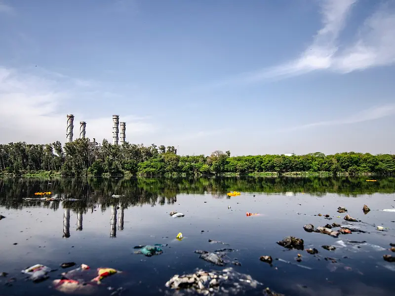 Día Internacional del Agua 2020