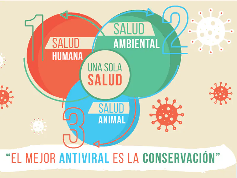 El mejor antiviral es la conservación de la naturaleza 