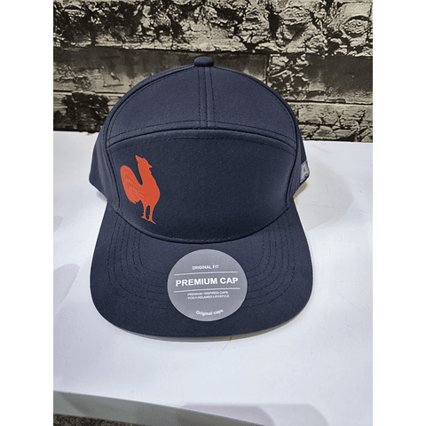 SNAP BACK ANDES XV FRANCIA