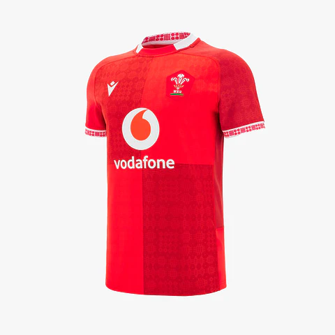 CAMISETA GALES 