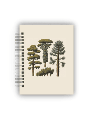 Kit Forest - Papelería Digital