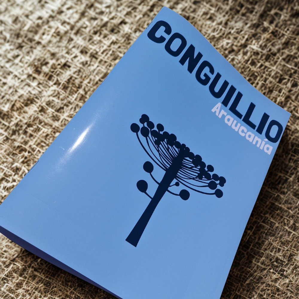 Álbum fotográfico - Revista
