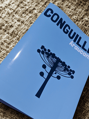 Álbum fotográfico - Revista