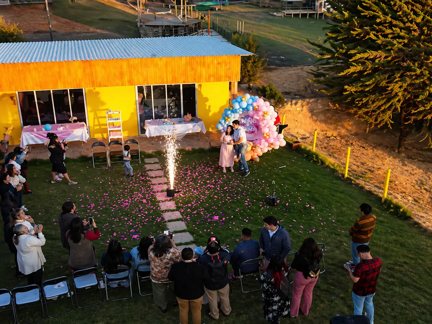 Baby Shower y Revelación de Sexo 2