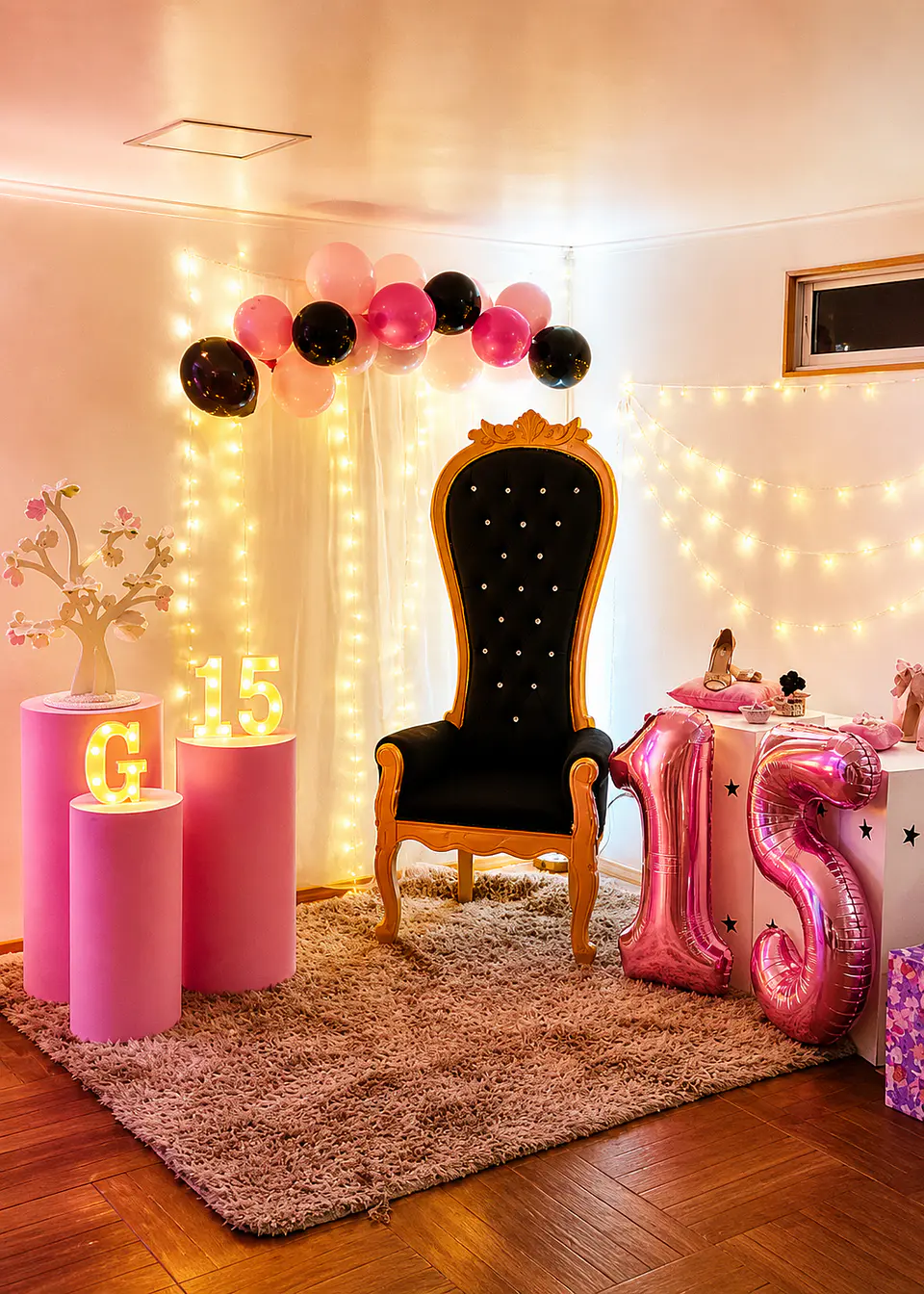 Cumpleaños de 15 años 2