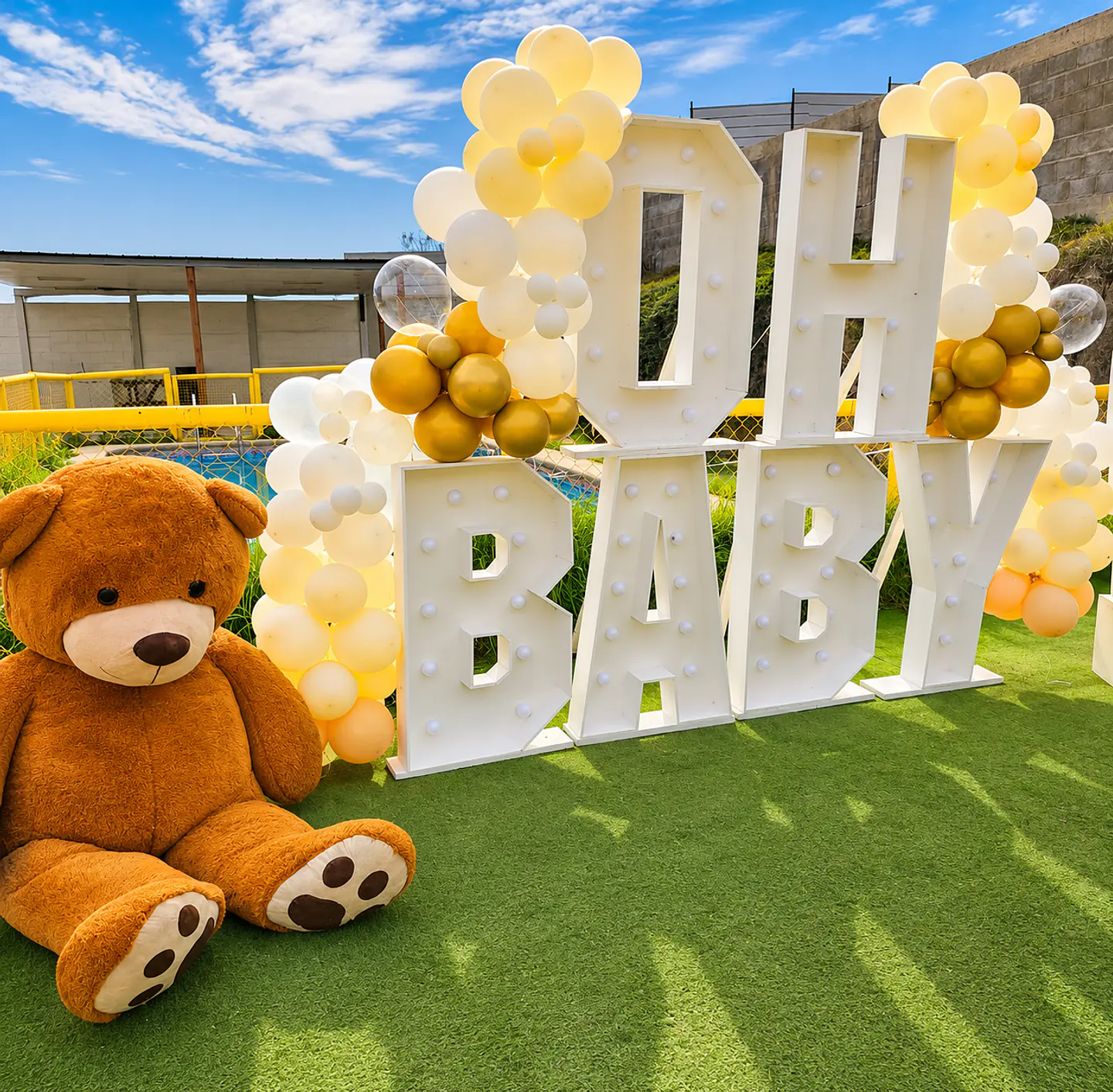 Baby Shower y Revelación de Sexo 1