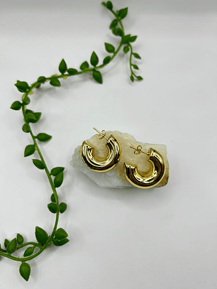 Argollas Anastasia Gold