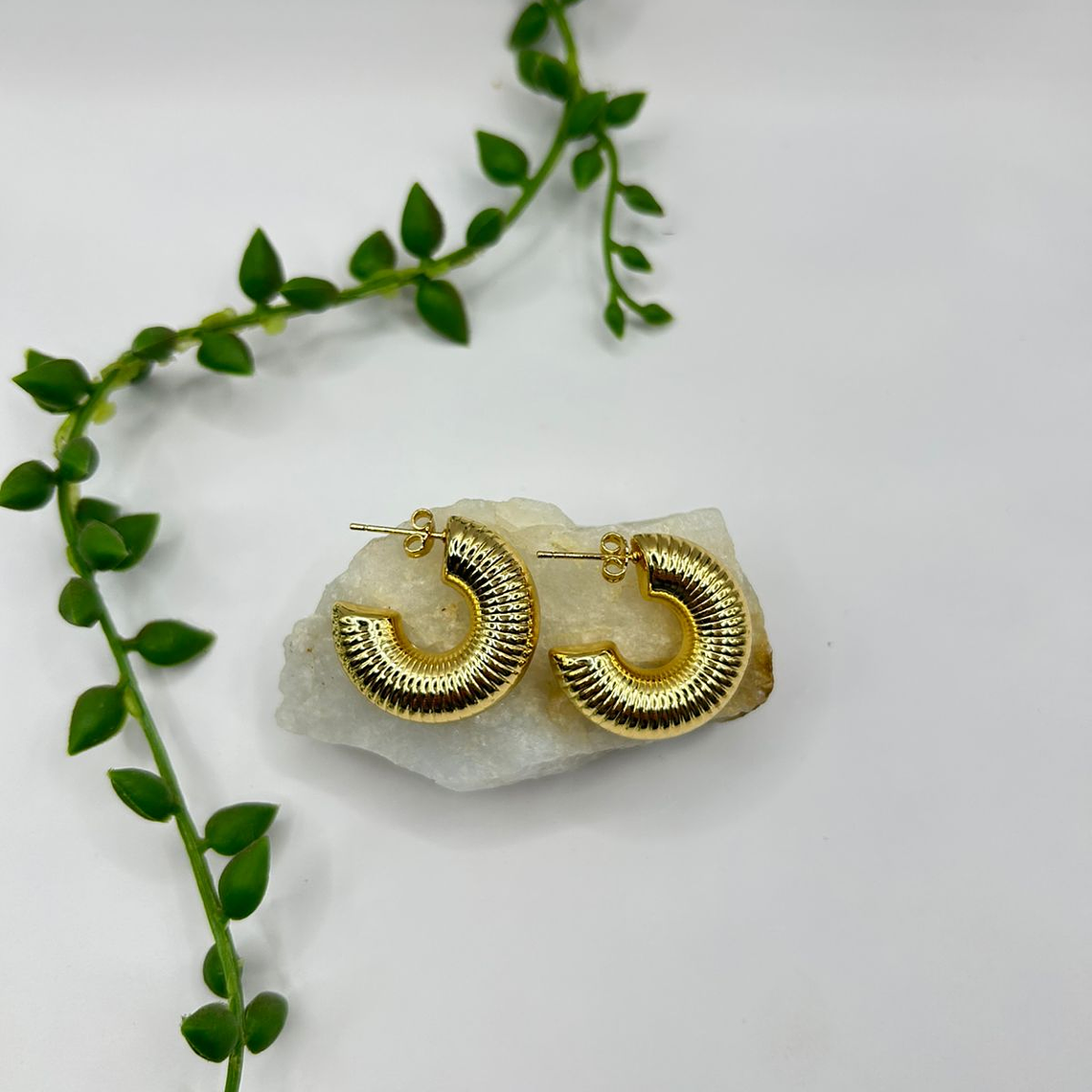 Argolla Shell Gold 1