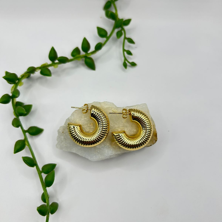 Argolla Shell Gold 1