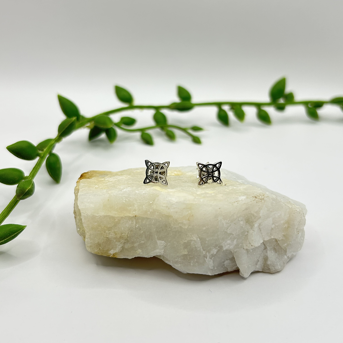 Aro nudo de bruja  2