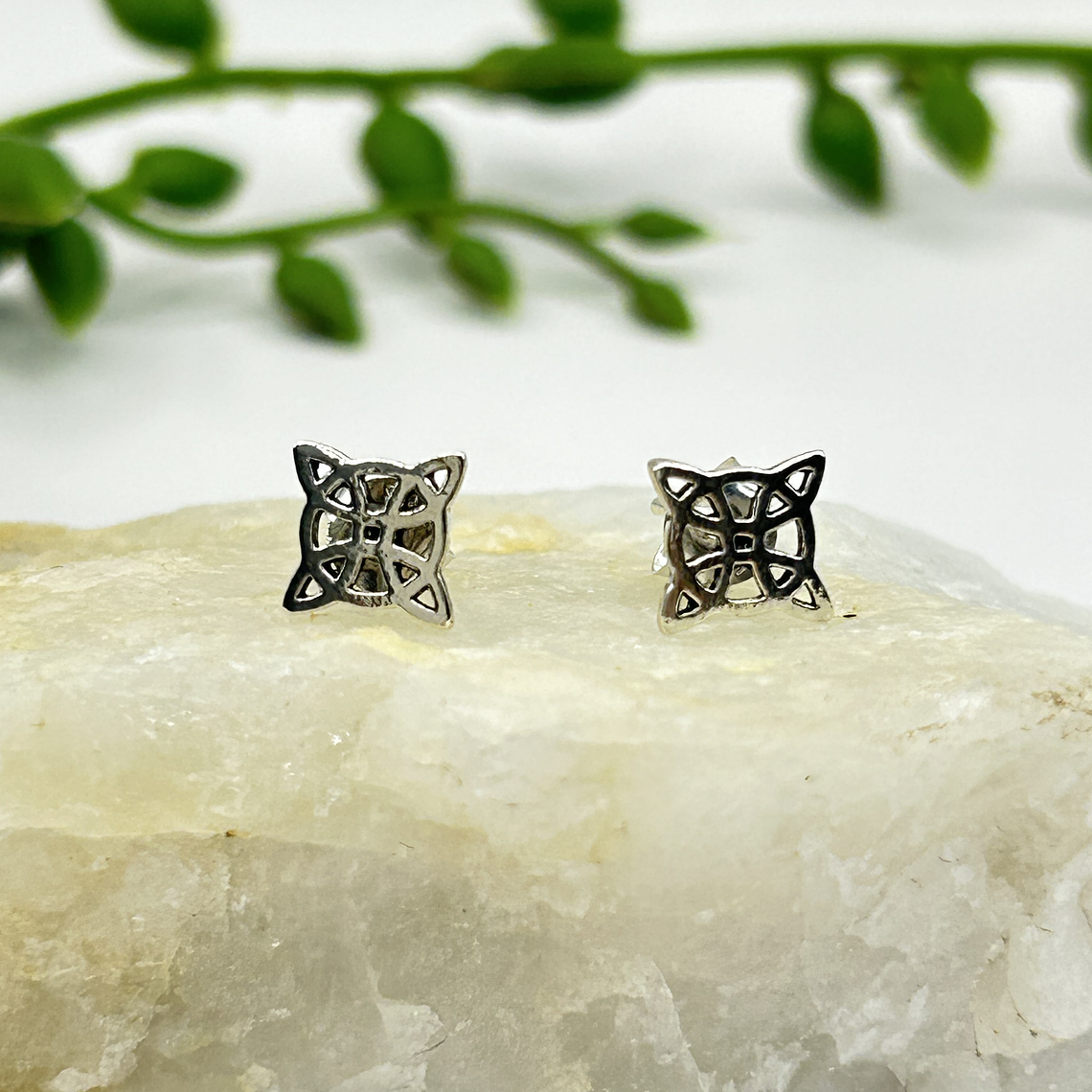 Aro nudo de bruja  1